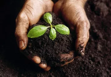 Campaña dirigida a la reducción de residuos por la vía de generación de compost