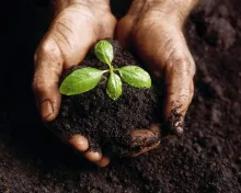 Campaña dirigida a la reducción de residuos por la vía de generación de compost
